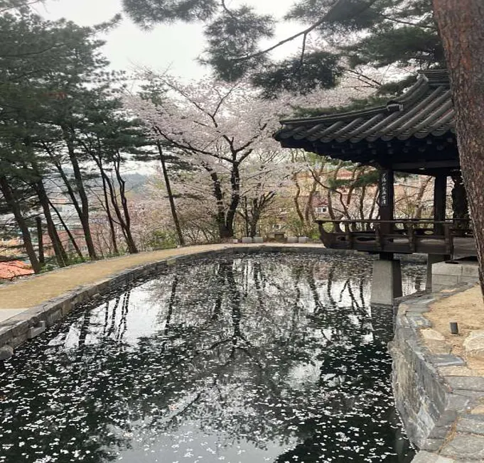 차담by 갤러리 더 스퀘어