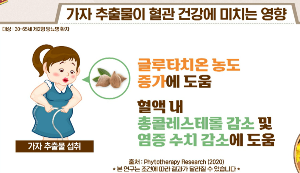 가자추출물 효능