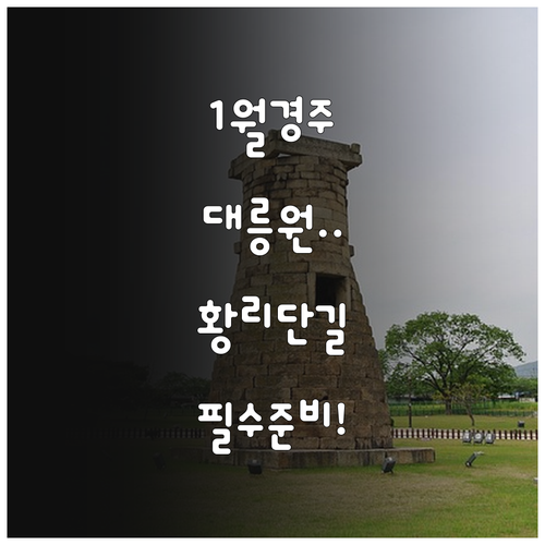 1월 경주 대릉원 황리단길 산책 코스..