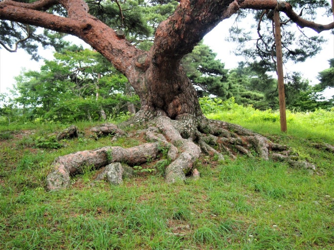 의령 가볼만한곳 베스트10