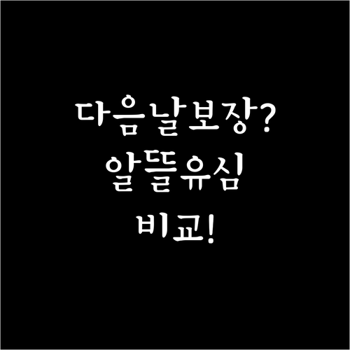 알뜰폰 유심 다음날 배송 보장하는 업..