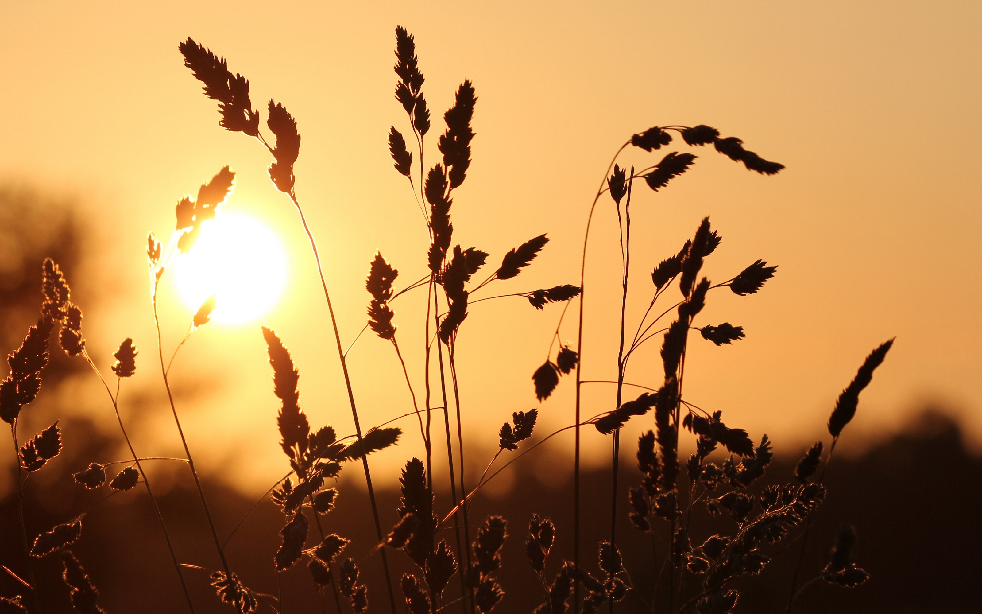 서울사랑상품권 발행일정 구매방법