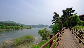 대전 가볼 만한 곳