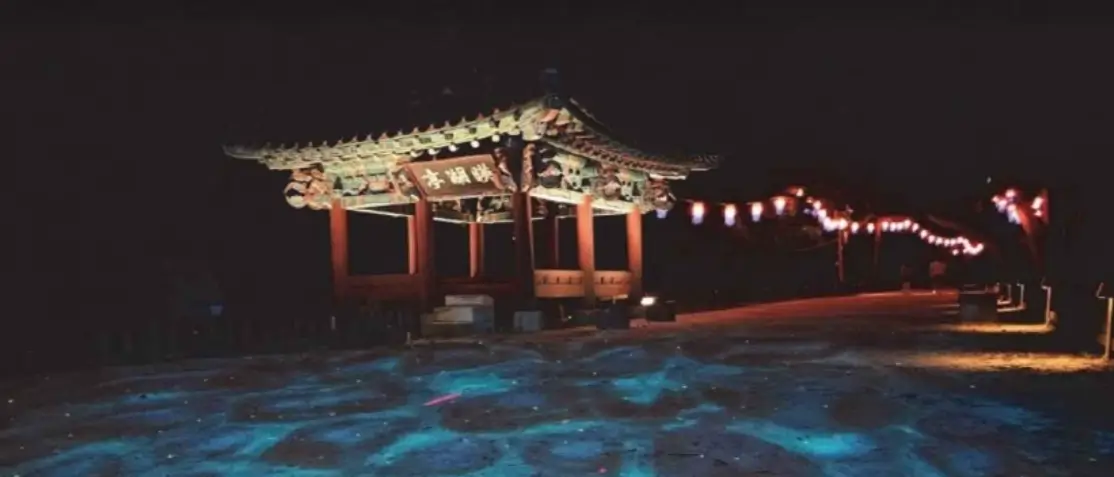 충청북도 축제