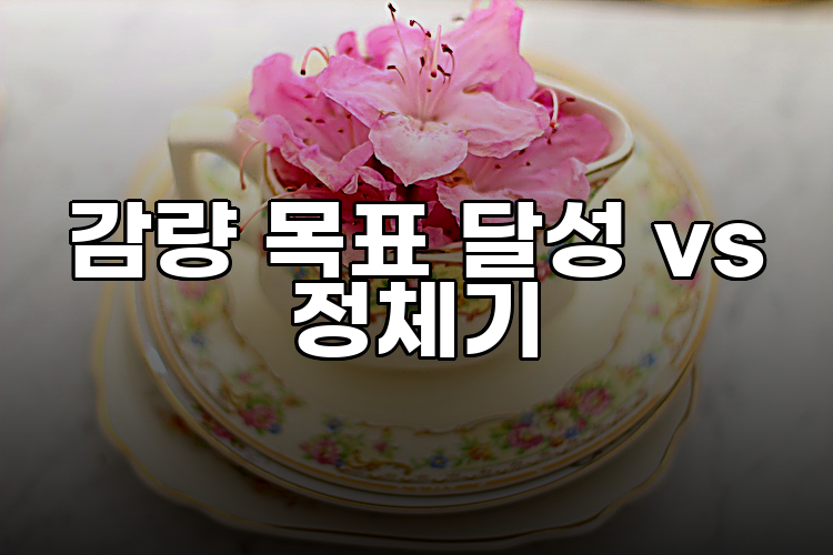 감량 목표 달성 vs 정체기