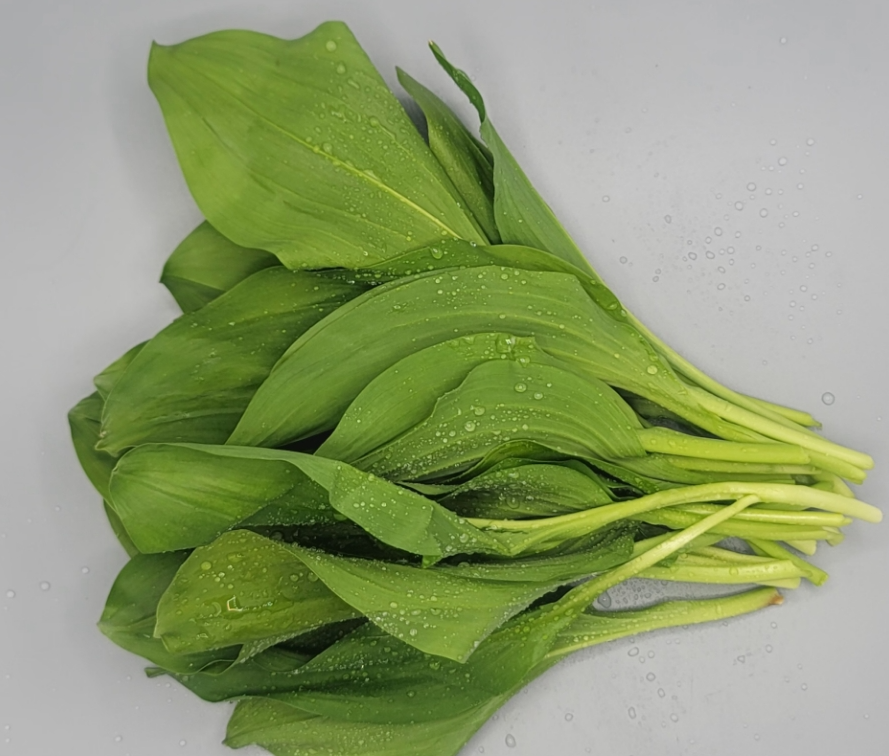 명이나물&amp;#44;산마늘 손질법&amp;#44; 효능과 부작용 