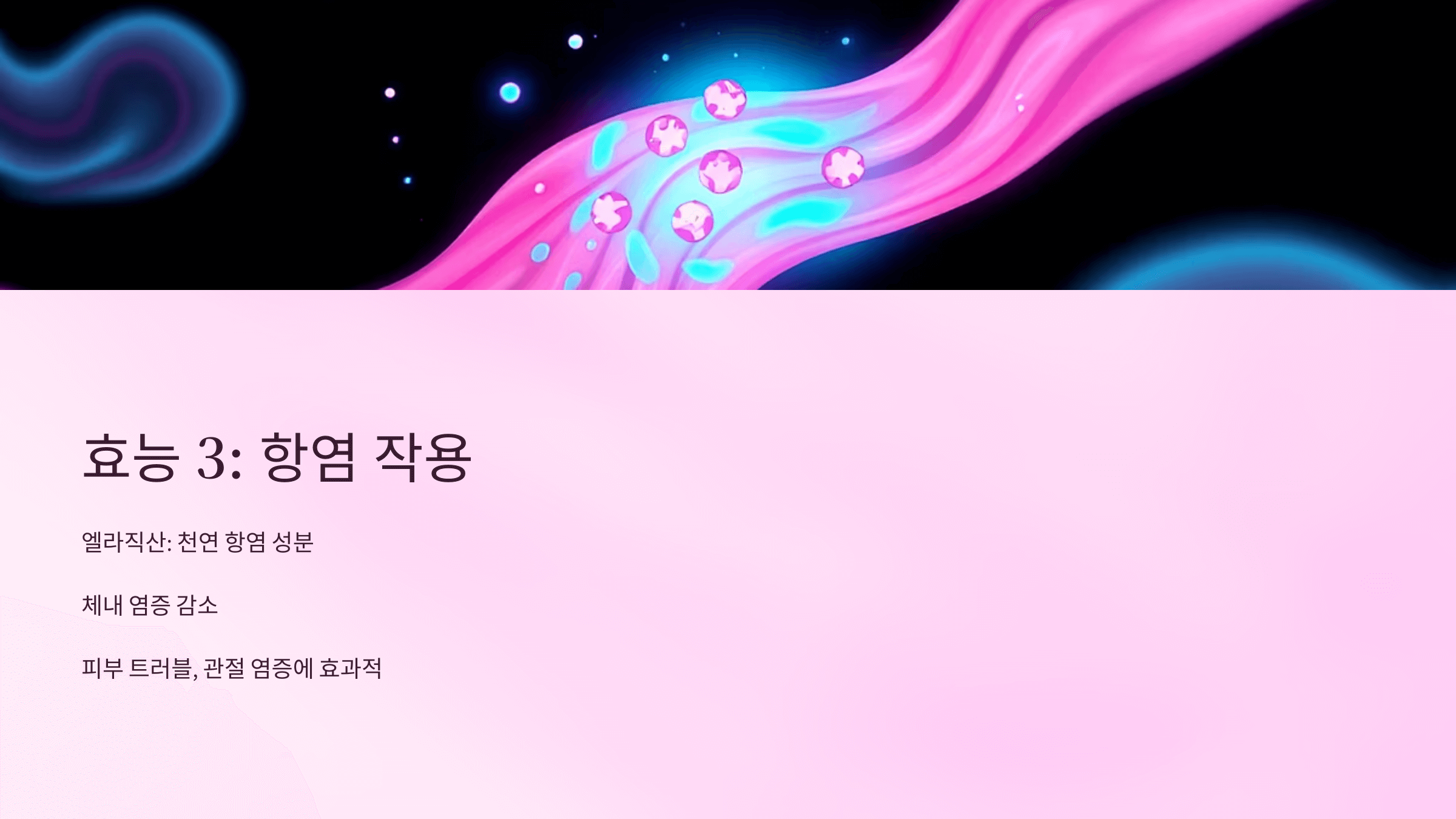 산딸기 사진입니다.