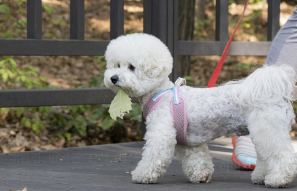 영양제 복용 시 주의사항 관련 사진