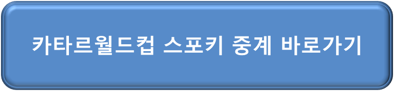 카타르 월드컵 스포키