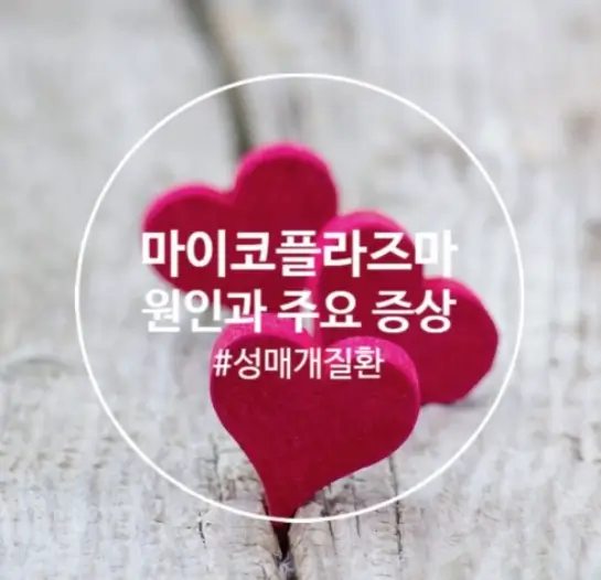 마이코플라즈마