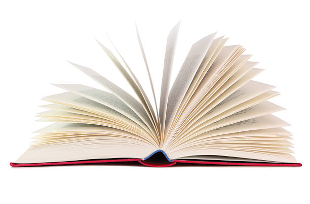 소설책을 읽는 꿈