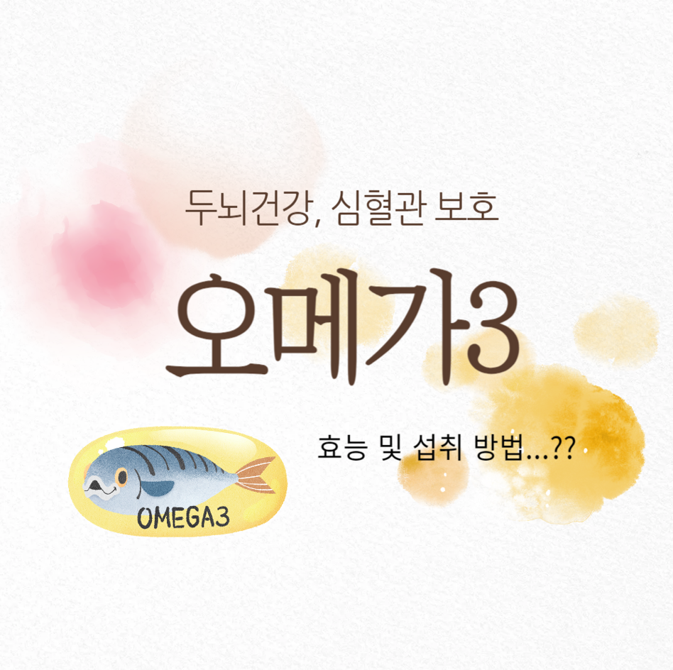 오메가3의 효능: 두뇌 건강부터 심혈관 보호까지