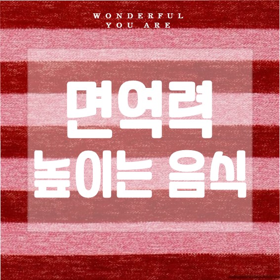 면역력 식품 완벽 정리: 건강을 위한 최고의 선택