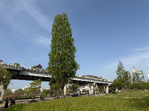 한강 자전거 vs 킥보드, 아이와 뭐가 더 좋을까? 현실 비교