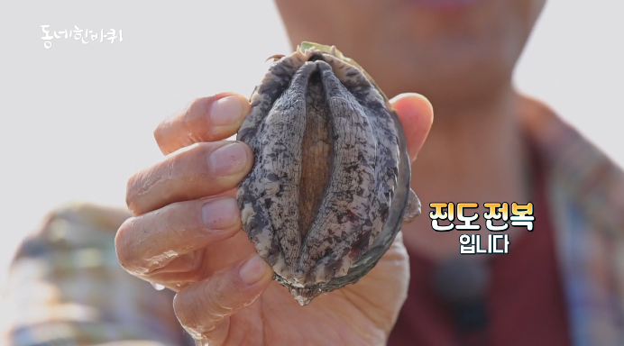 진도전복