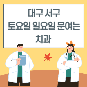 대구 서구 토요일 일요일 치과 진료 문여는 병원 리스트