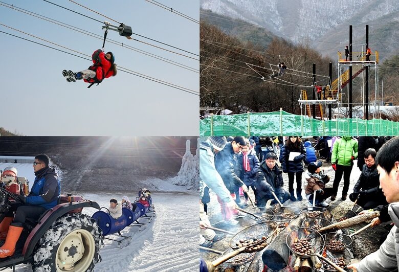 상단좌/우측사진은 짚트랙을 타고 줄에 매달려서 신나게 이동하고 있는 모습이며 하단좌/우측 사진은 깡통으로 만들어진 썰매가 4~5개가 연결되어 있고 각각의 깡통썰매에 아이들이 1명씩 타고 그 썰매들을 트랙터가 끌고있는 모습과 장작 숯불위에 철망으로 만들어진 망에 알밤을 수십개 담아서 굽고 있는 열댓명의 어른들 모습