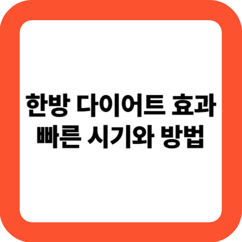 한방 다이어트 효과 빠른 시기와 방법