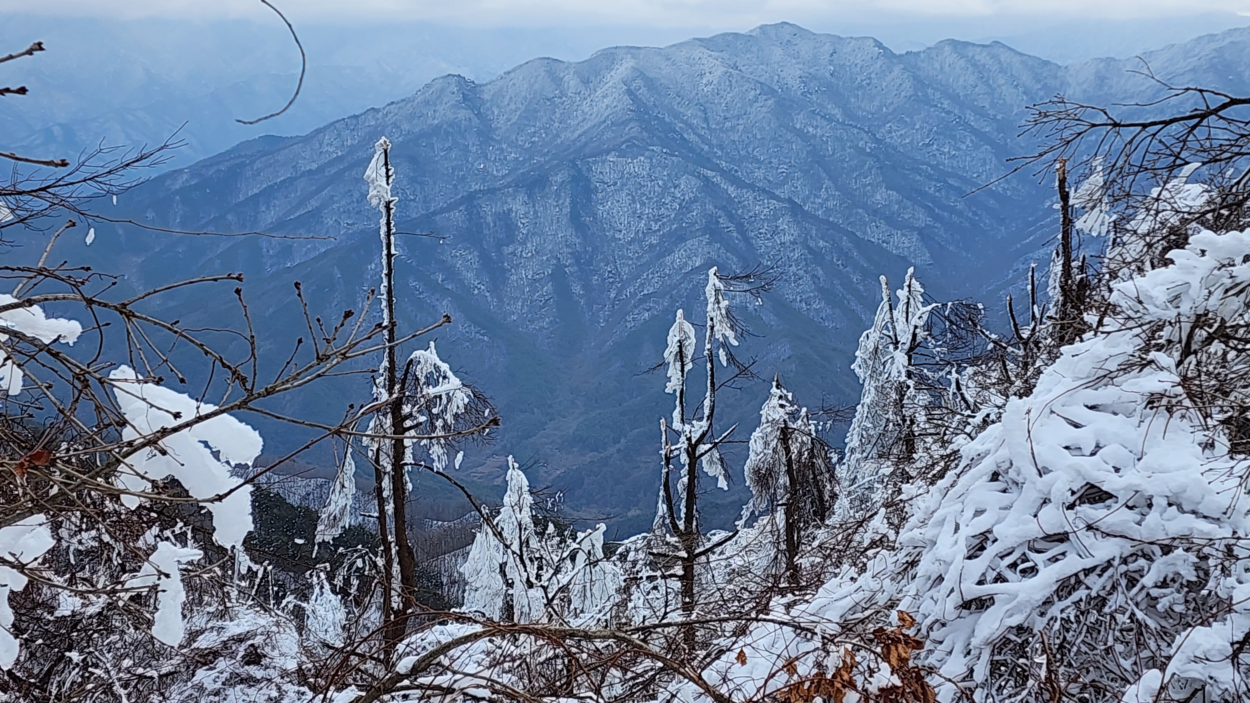 바래봉 얼음 나무