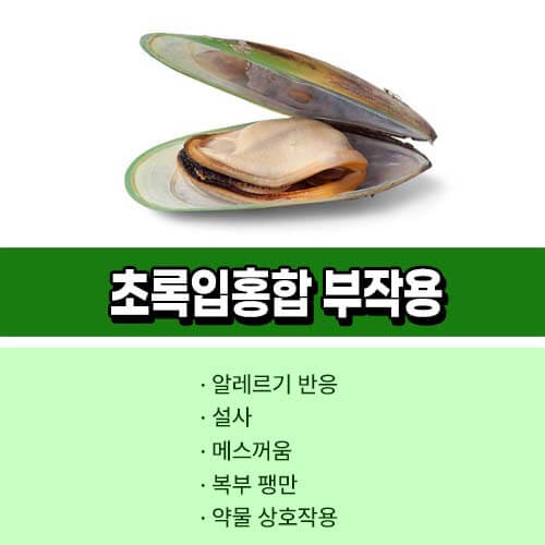 초록입홍합오일