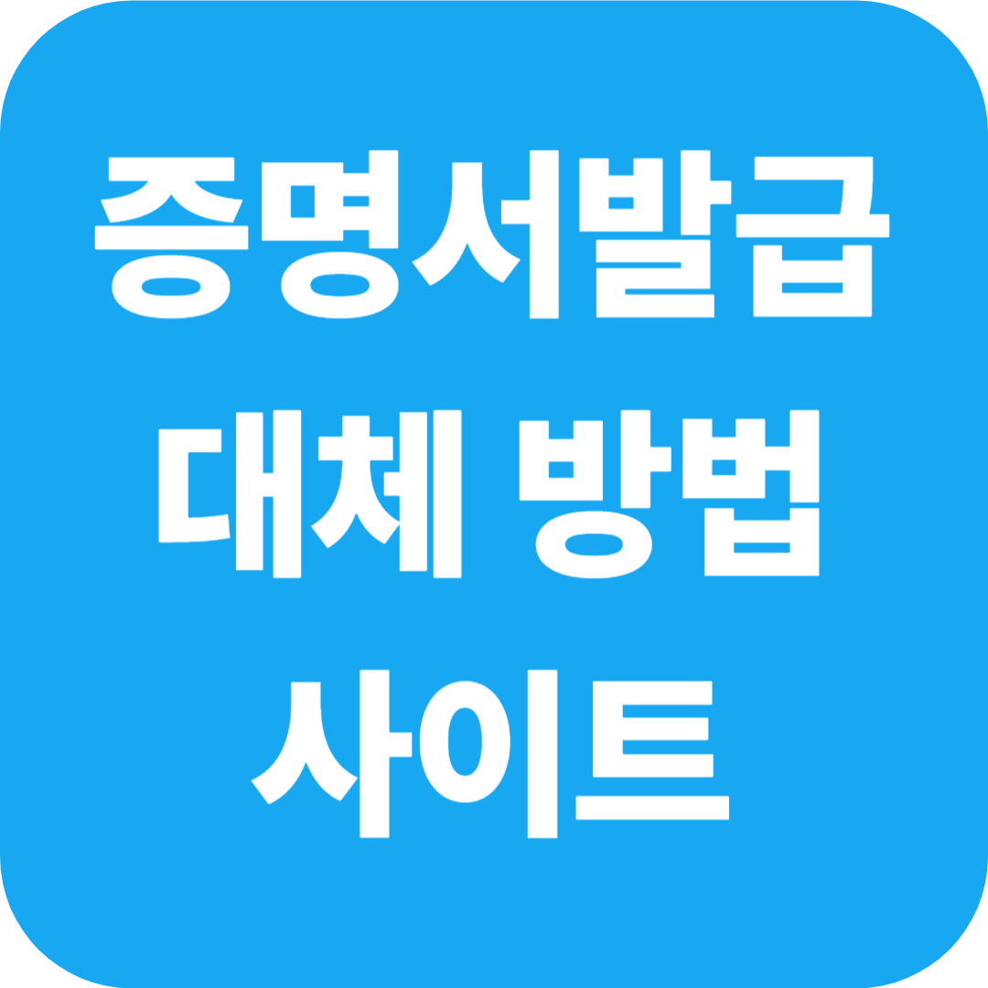 증명성 발급 대체 방법