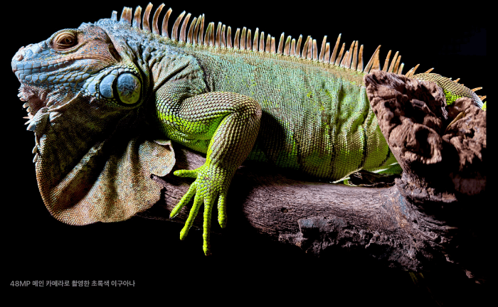 아이폰15 사전예약 혜택 출시일 스펙