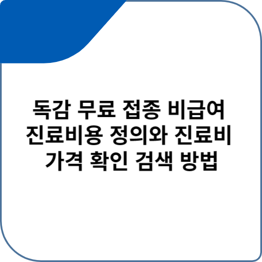 독감 무료 접종 비급여 진료비용 정의와 진료비 가격 확인 검색 방법