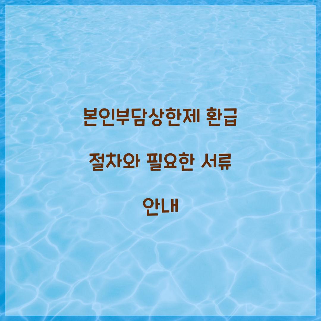 본인부담상한제 환급