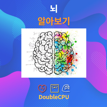 뇌란 무엇인가?