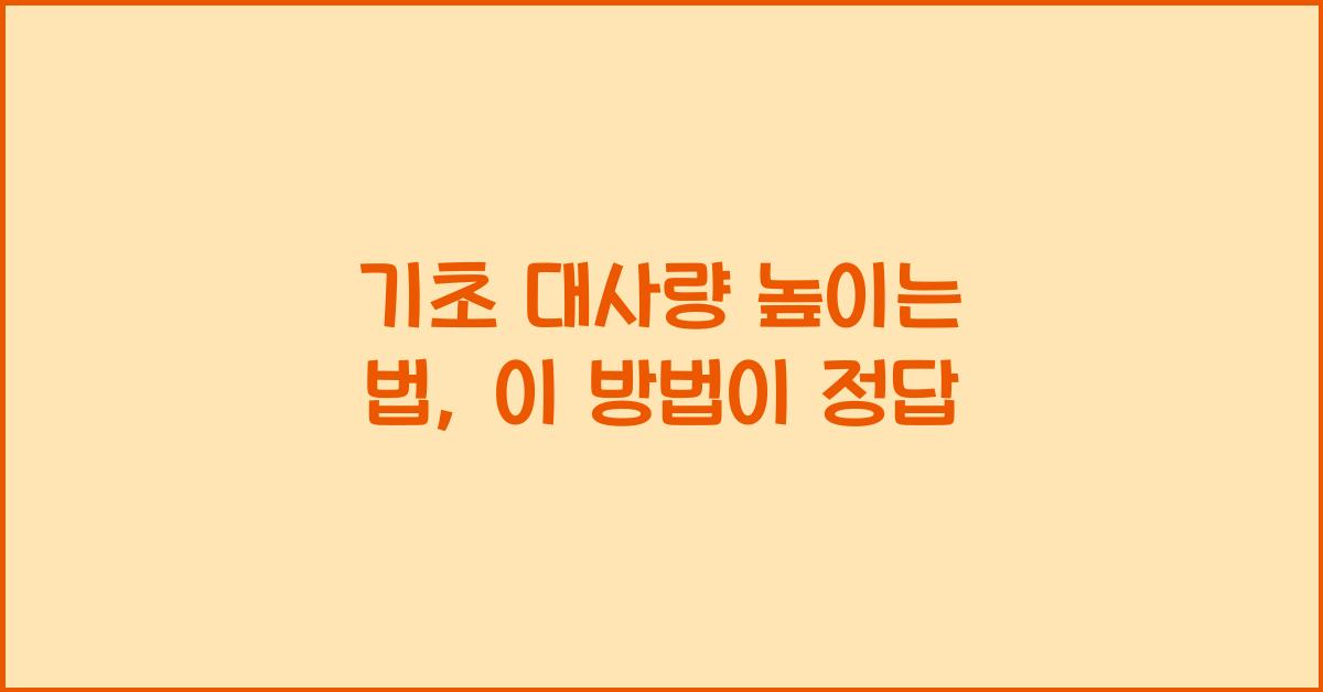 기초 대사량 높이는 법