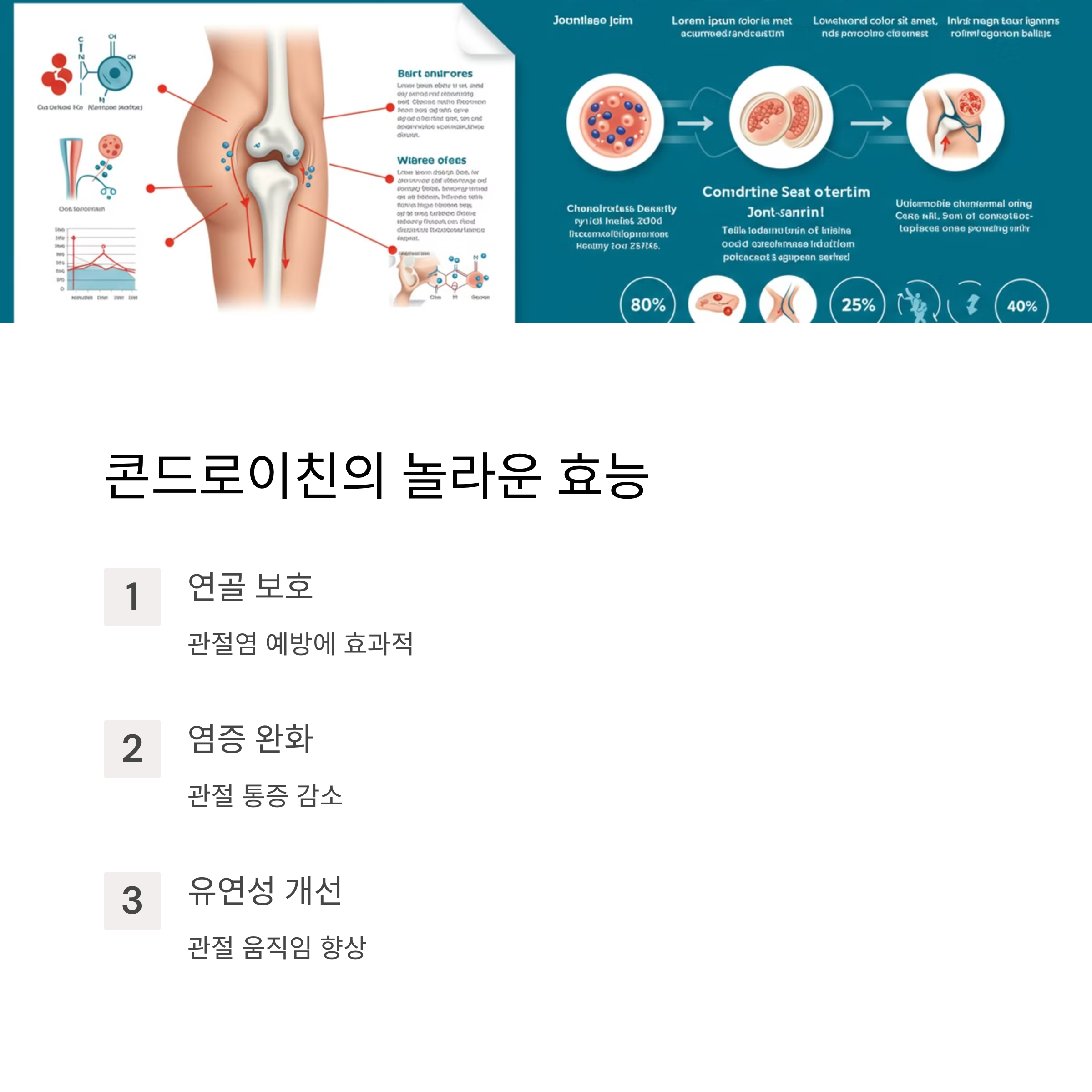 콘드로이친의 놀라운 효능