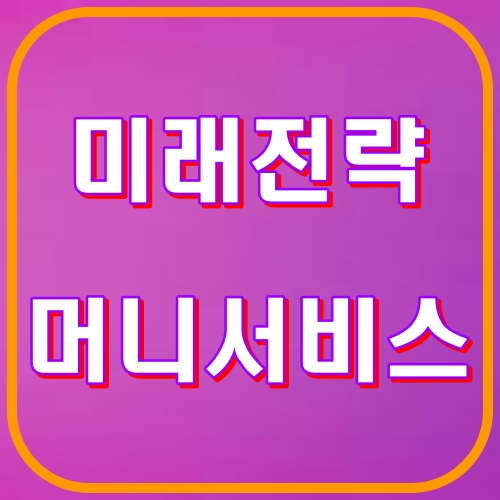 미래전략 머니서비스