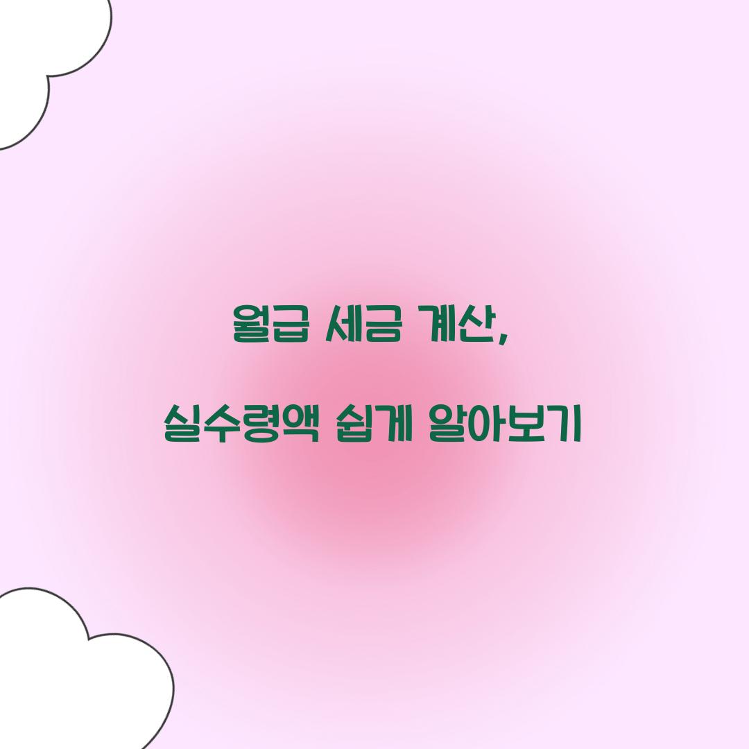 월급 세금 계산