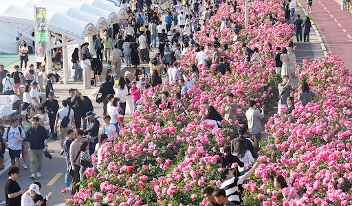 제17회 중랑 장미축제