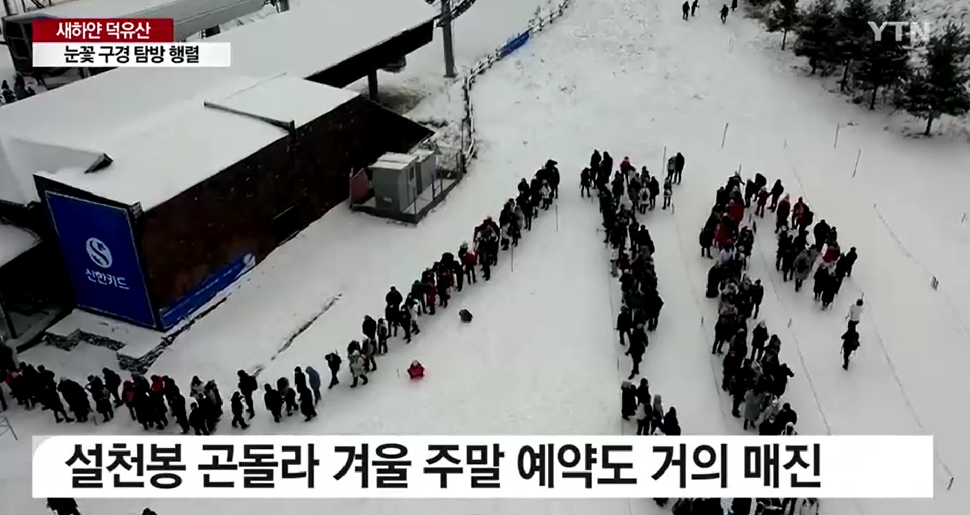 YTN 보도 자료