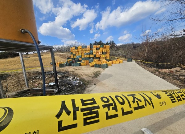 산불원인