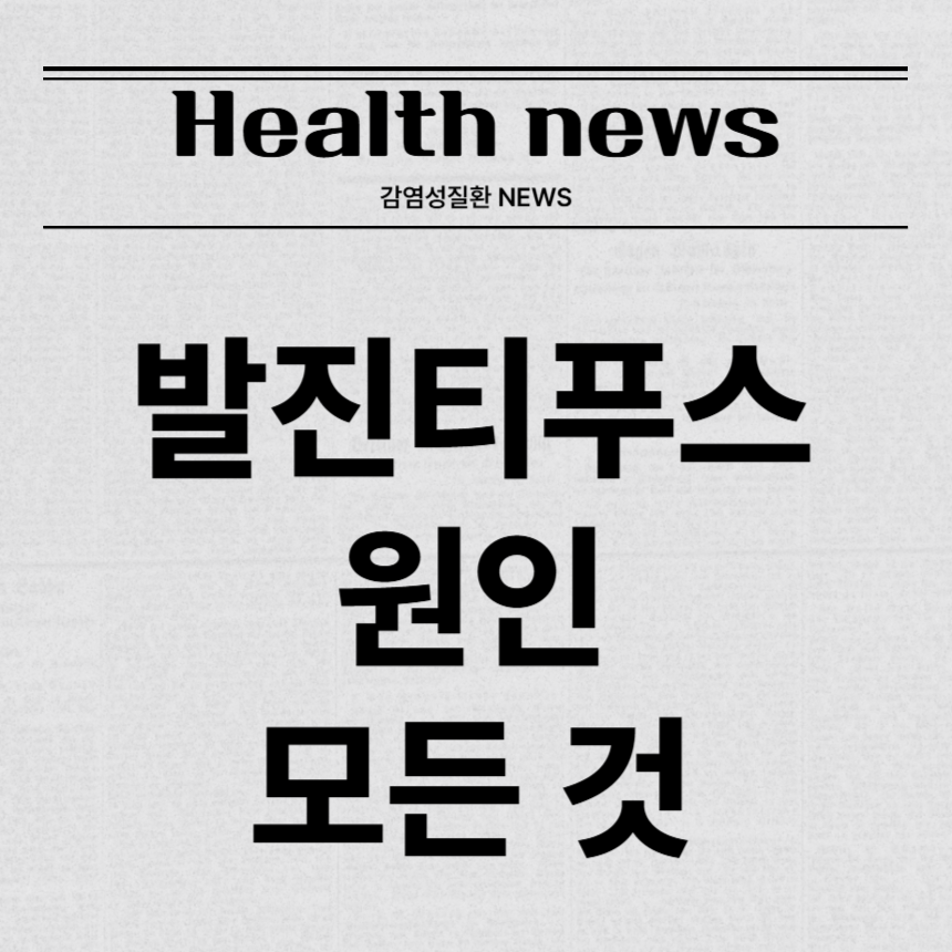 발진티푸스 원인