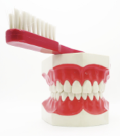 잇몸이 자주 붓는 이유