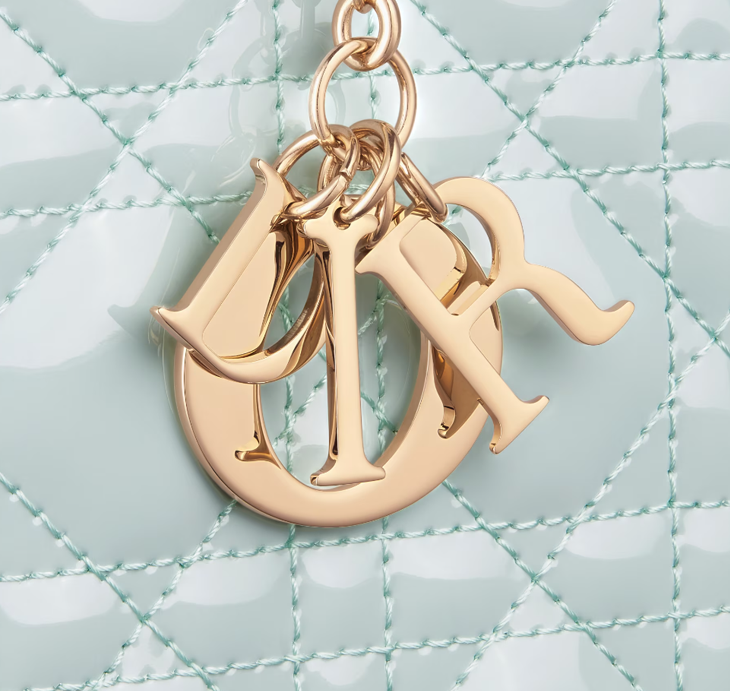 김건희가 선물받아서 유명해진 '조만한 백' 레이디 디올 WOC (Lady Dior WOC) 315만원