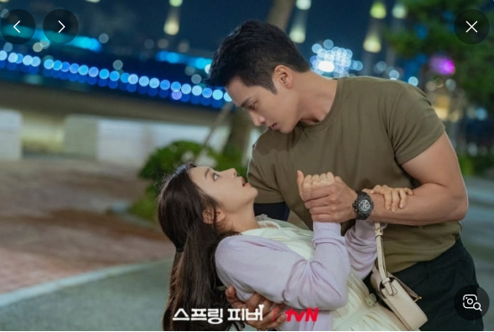 스프링-피버-기본-정보-등장인물-뜻-ott