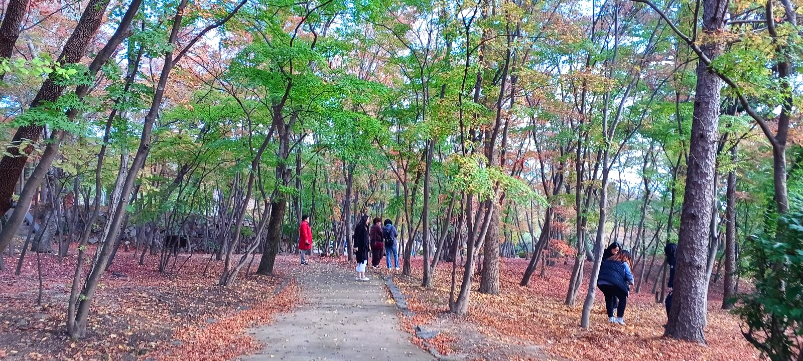 불국사