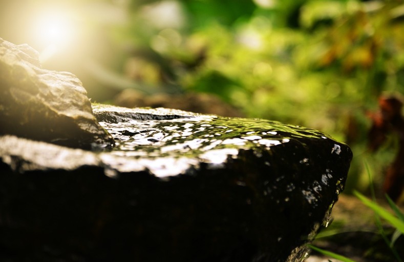 몸과 마음을 치유하는 국내 여행법 (명상, 웰니스, 온천)