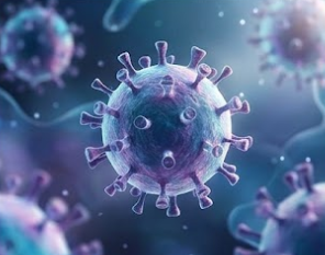 2026 남성 청소년 대상 HPV 무료 접종 실시!