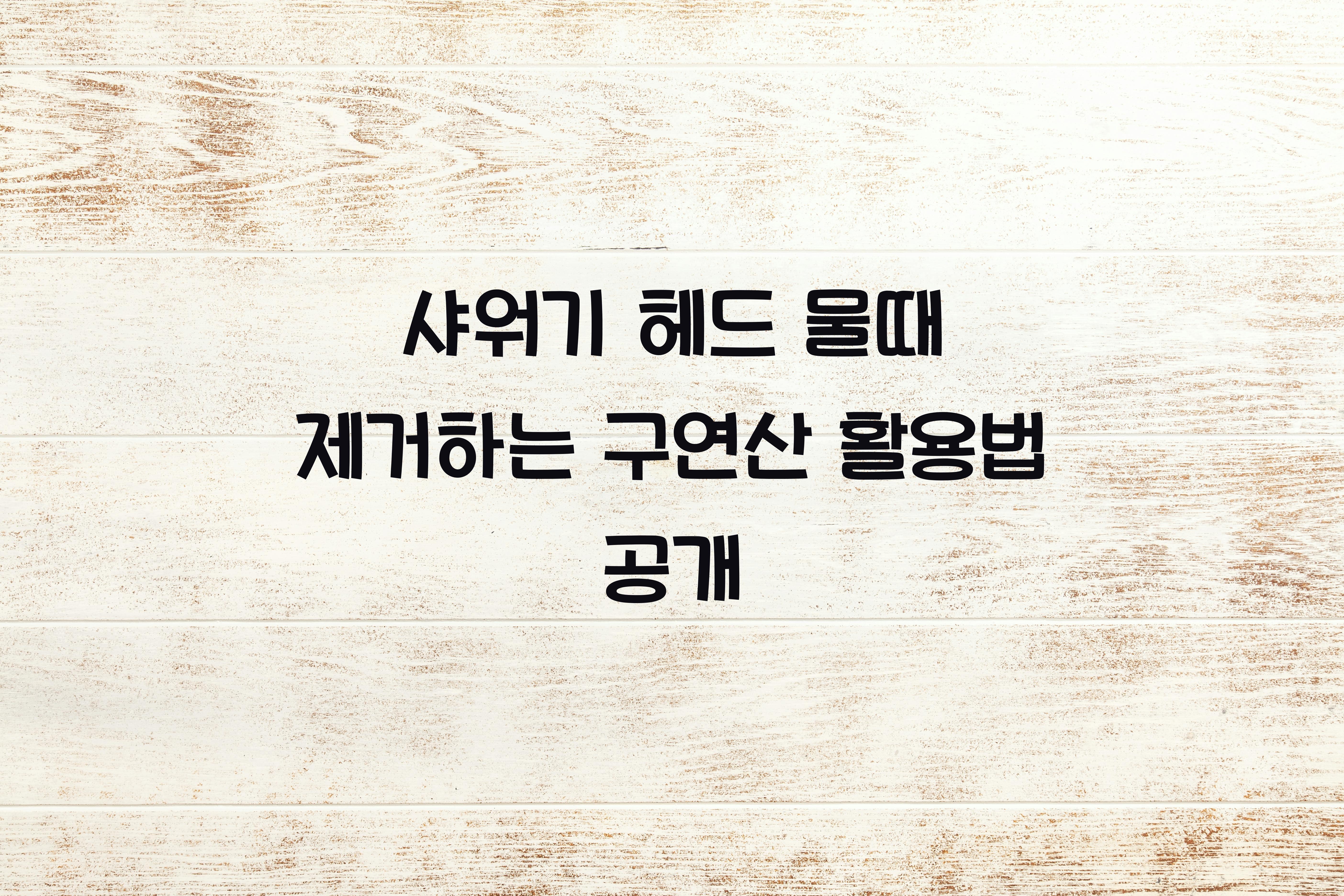 샤워기 헤드 물때 제거하는 구연산 활용