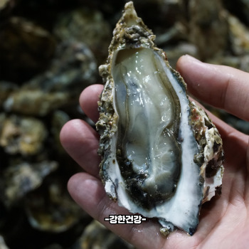 굴무침 황금레시피