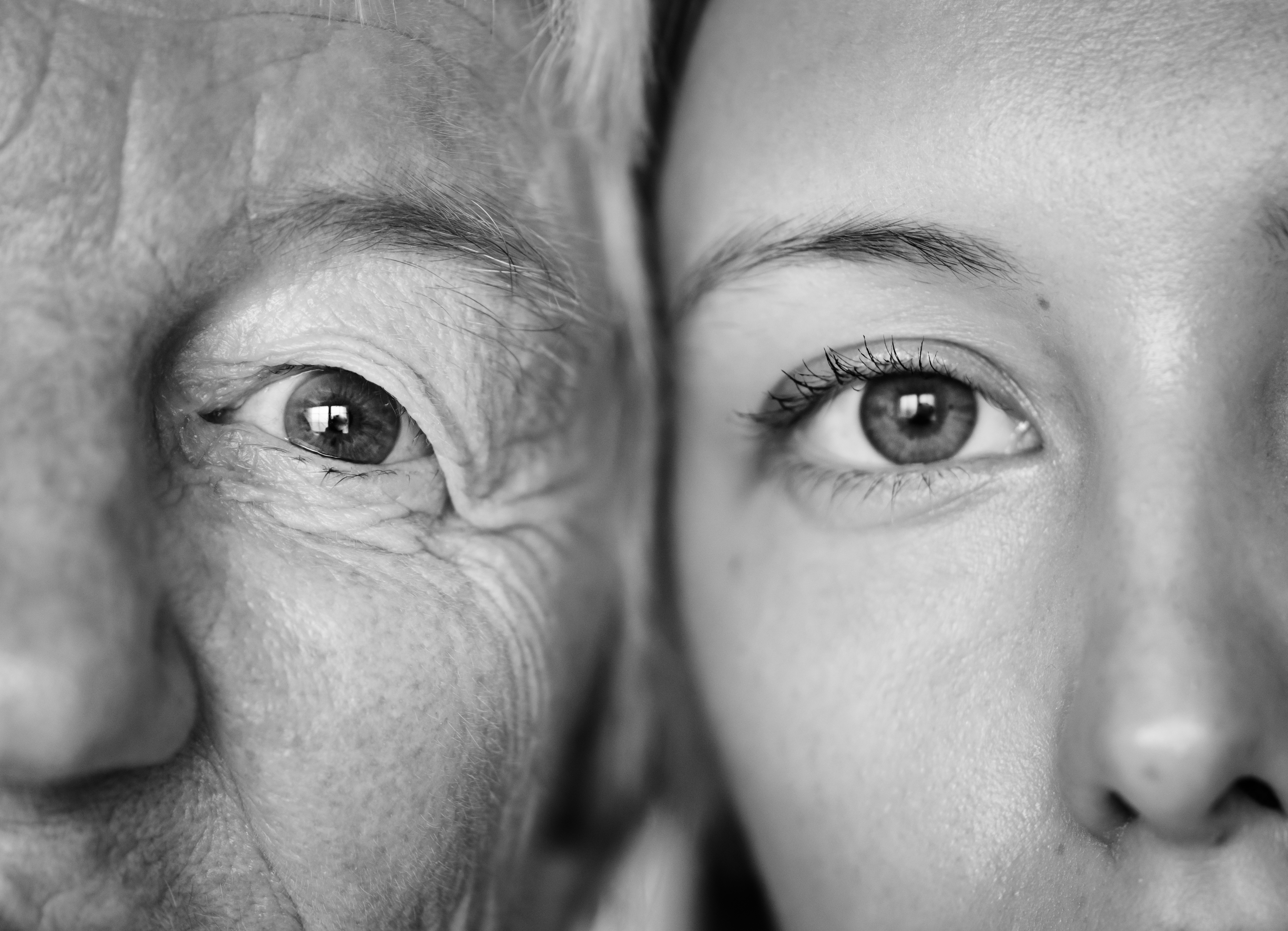 &copy; Closeup of family eyes (rawpixel.com, Freepik)