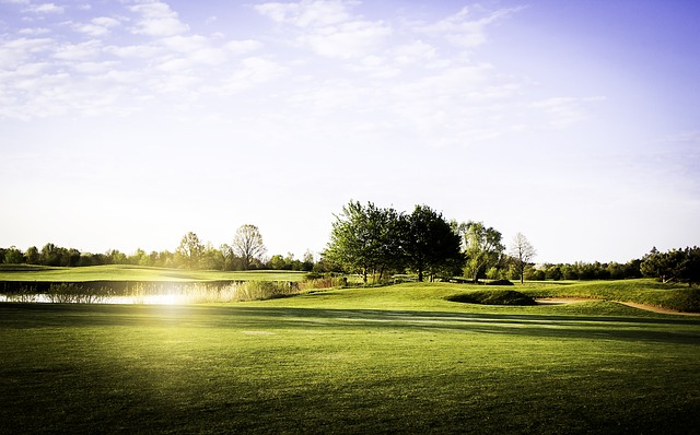 햇살과 골프장