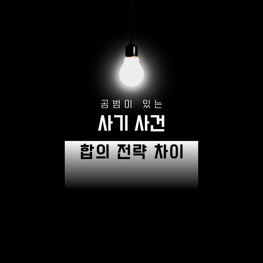 공범이 있는 사기 사건 합의 전략 차이