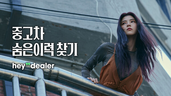 헤이딜러-단점-소개