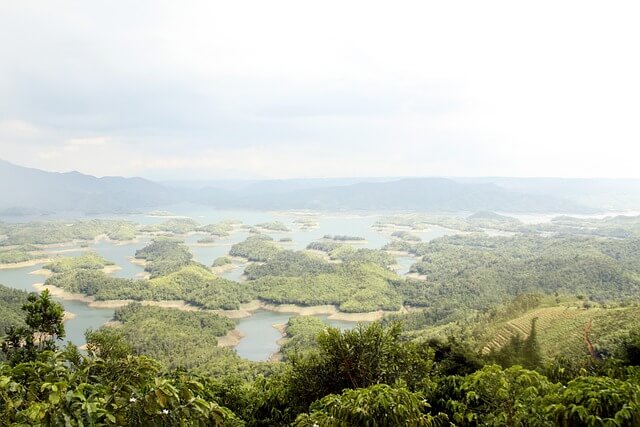 2025년 임업직불금 신청 안내 기한내 신청하고 최대 94만원 지원금 받기